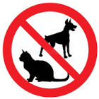 noDogsorCats